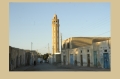 tunisia, atlas, roman, camels-32